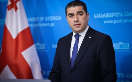 შალვა პაპუაშვილი: ხელის გულზე დევს, რომ სახელმწიფო გადატრიალება უცხოეთიდან იყო დაგეგმილი. ის ადგილობრივმა რადიკალებმა განახორციელეს და ინსტრუქტორებს შეუქმნეს პირობები, რომ ორგანიზატორებმა თავიდან აირიდონ მომხდარზე პასუხისმგებლობა