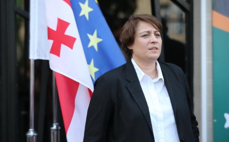 "არც არჩევნები გამოდის, არც მშვიდობიანი რევოლუცია, აბა, რა ვქნათ?“ - რას წერს საპატიმროდან ელენე ხოშტარია?