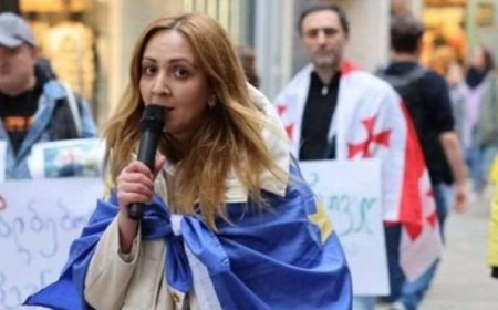 შსს-მ აქტივისტი ნანა სანდერი დააკავა