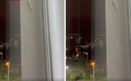 ვაიმე ფრთხილად იყავით  "ეს რა ხდება, რა შემოსევაა, ესე მასიურად დარბიან სართულებზე?" - ვარკეთილიდან გავრცელებულ კადრებს დიდი გამოხმაურება მოჰყვა (ვიდეო)