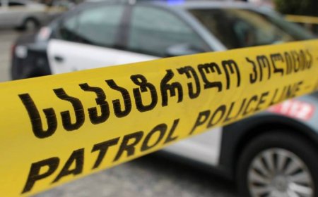 ღმერთო რა ტრაგედიაა 3 თვის ორსული ქალი ქმარ-შვილის თვალწინ მოკლეს, უმძიმესი დეტალები ნახეთ კომენტარში, (ფოტო)