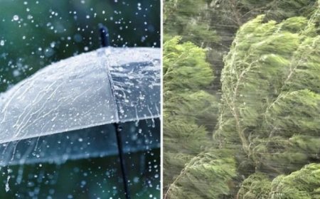 იყავით ფრთხილად, ამინდი მკვეთრად იცვლება,რას პროგნოზირებენ სინოპტიკოსები. 😱 როდიდან არის მოსალოდნელი ამინდის გაუარესება. ნახეთ პირველ კომენტარში 👇🏻