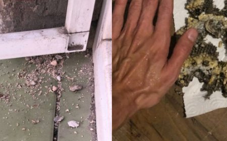 "ფრთხილად და ყურადღებით იყავით, კორპუსებსაც ერჩიან, დაბლა ეყარა კედლის ნაწილები" - რა აღმოაჩინა მოქალაქემ საცხოვრებელი სახლის კედელში?