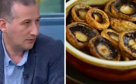 ფრთხილად იყავით ყველა, „ბოლო კვირაში, სოკოთი მოწამვლის ეპიდაფეთქებაა“ - რას აცხადებს ტოქსიკოლოგი? (ვიდეო)