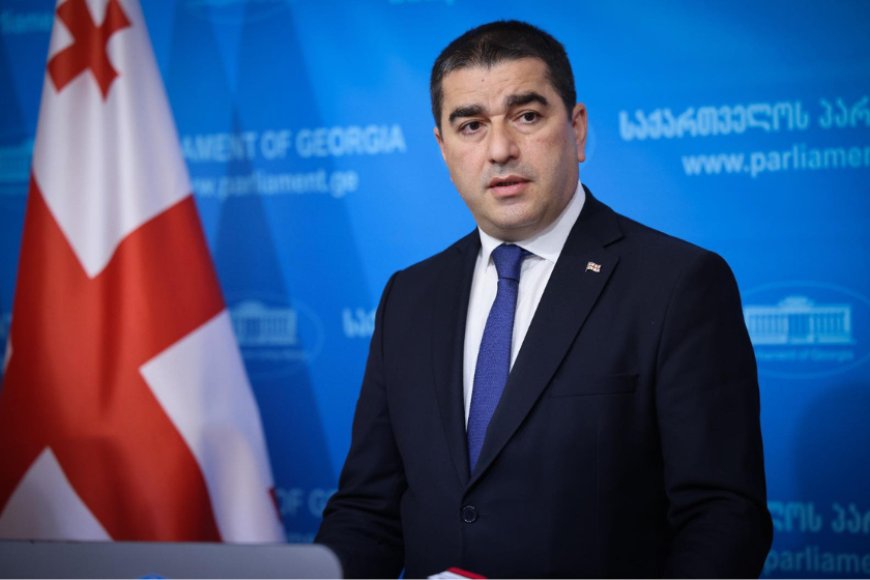 პაპუაშვილი: გვინდოდა კეთილდღეობის ევროპა, შევუკვეთეთ და ჩამოგვივიდა ექსტრემიზმი და ძალადობა
