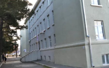 "სამწუხაროდ, ჩვენს სკოლაშიც დაფიქსირდა...": თბილისის რომელ სკოლაში დაფიქსირდა მუნის შემთხვევა? - დირექცია განცხადებას ავრცელებს