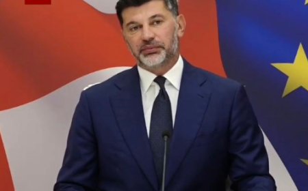 "12 ნოემბრიდან დაიწყება, ყოველ ოთხშაბათს, 16:00 საათიდან - 18:00 საათამდე გაგრძელდება" - კახა კალაძის მიმართვა თბილისელებს (ვიდეო)