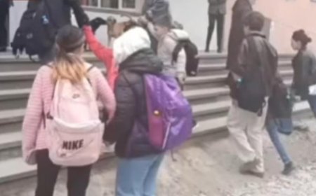 რა ჩანს კადრებში, რომლებიც გლდანის ერთ-ერთ საჯარო სკოლასთან მშობელმა დააფიქსირა ? - "მოახდინეთ სწრაფი რეაგირება, რომ შევძლოთ სკოლის ეზოში მშვიდად გადაადგილება"