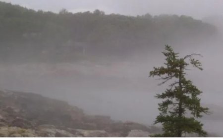 "ამჯერად წინასწარ გაფრთხილებთ..." - მოსალოდნელი ამინდის შესახებ მეტეოროლოგი მოსახლეობას მიმართავს