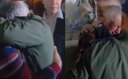 ვიდეოში ისმის შემზარავი ხმები, კადრები უმძიმესი სანახავია - საქართველოს ტერიტორიაზე ავიაკატასტროფისას დაღუპულია ... ვრცელდება ვიდეო