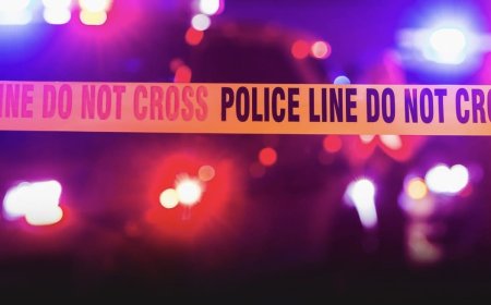 „ნაპოვნია ოთხი ცხედარი...“ - ბოლო ინფორმაცია ტრაგედიის ადგილიდან 🌐 ვრცლად ნახეთ კომენტარებში👇