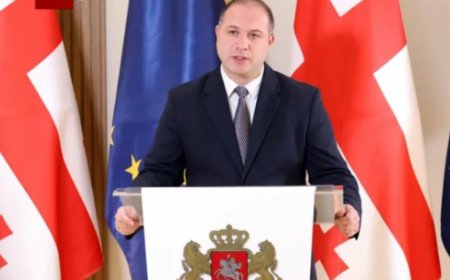 მთავრობამ ახალი გადაწყვეტილება მიიღო: განათლების მინისტრის ბრიფინგი - "მსურს საზოგადოებას მნიშვნელოვანი ინფორმაცია მივაწოდო! (ვიდეო)