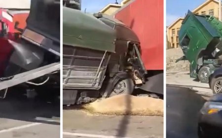 რა საშინელეებაა  უმძიმესი ავარია გუდაურში - ვრცელდება მომხდარის ამსახველი ვიდეოკადრები (ვიდეო)