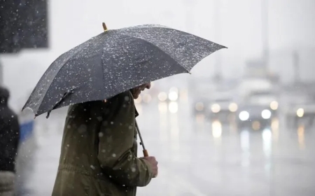 მოემზადეთ, ჩართეთ გამათბობლები ხვალიდან მოსალოდნელია წვიმა, თოვლი და ცვალებადი მოღრუბლულობა - როდიდან დაიკლებს ტემპერატურა საქართველოში?