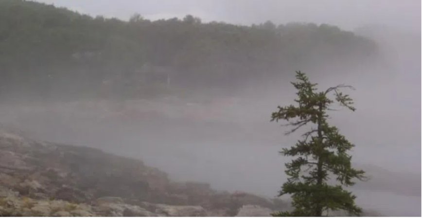 "ამჯერად წინასწარ გაფრთხილებთ..." - მოსალოდნელი ამინდის შესახებ მეტეოროლოგი მოსახლეობას მიმართავს