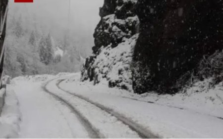 მოემზადეთ აუწიეთ გამათბობლებს , მოსალოდნელია ინტენსიური თოვა და ნალექი - სად აიკრძალა საავტომობილო მოძრაობა?