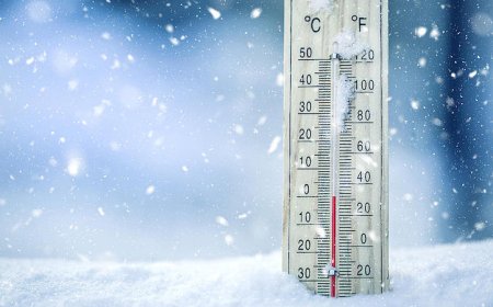 უამინდობის გამო მოძრაობა აიკრძალა - გზების დეპარტამენტი მძღოლებს აფრთხილებს 🌐 ვრცლად ნახეთ კომენტარებში👇