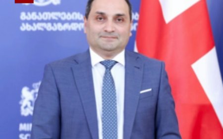 მნიშვნელოვანი ინფორმაცია აბიტურიენტებისთვის, ამას ვინ იფიქრებდა ?  - განათლების მინისტრის მოადგილე განცხადებას ავრცელებს (ვიდეო)