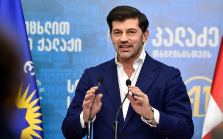 "უფასოა, 100%-ით ფინანსდება, არცერთი თეთრის გადახდა არ მოგიწევთ" - ვინ მიიღებს სრულ დაფინანსებას თბილისის მერიისგან? (ვიდეო)