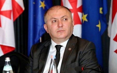 "ამოღებულია ვიდეო და აუდიო ჩანაწერები, ამას ვინ იფიქრებდა, ვრცელდება რა გახდა ლილუაშვილის დაკავების  მიზეზი, ვრცელდება ვიდწეო კადრები   (ვიდეო)