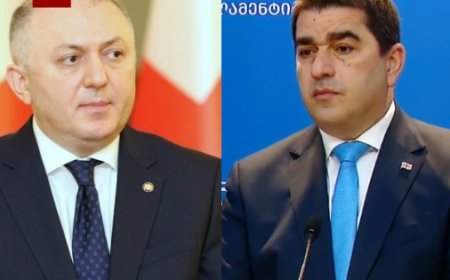 "ეს საინტერესო დეტალია..." - რას ამბობს შალვა პაპუაშვილი გრიგოლ ლილუაშვილის დაკავებაზე?