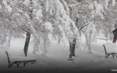 მოემზადეთ აუწიეთ გამათბობლებს  მოსალოდნელია ნალექი, თოვა და ქარის გაძლიერება“ - 10 გრადუსი,  მეტეოროლოგი მოსახლეობას აფრთხილებს,  სადამდე გაგრძელდება საქართველოში ასეთი ამიდნები