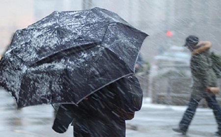 იყავით ძალიან ფრთხილად როგორი ამინდია მოსალოდნელი 31 დეკემბრის ჩათვლით? - გარემოს ეროვნული სააგენტოს პროგნოზი