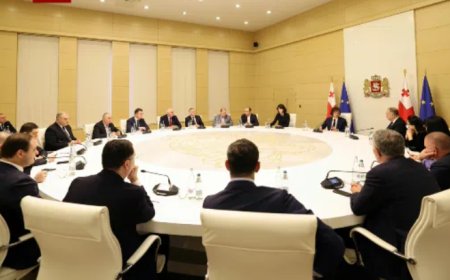 საქართველოს მთავრობამ ახალი გადაწყვეტილება მიიღო - განკარგულებას ირაკლი კობახიძემ ხელი უკვე მოაწერა