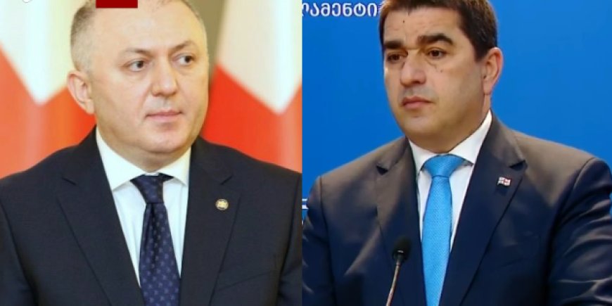 "ეს საინტერესო დეტალია..." - რას ამბობს შალვა პაპუაშვილი გრიგოლ ლილუაშვილის დაკავებაზე?