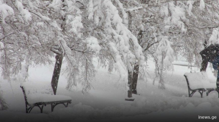 მოემზადეთ აუწიეთ გამათბობლებს  მოსალოდნელია ნალექი, თოვა და ქარის გაძლიერება“ - 10 გრადუსი,  მეტეოროლოგი მოსახლეობას აფრთხილებს,  სადამდე გაგრძელდება საქართველოში ასეთი ამიდნები