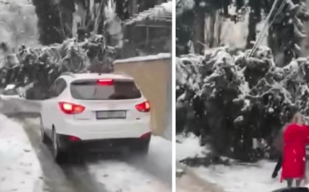 "ვერ გაივლით, არ გესმით?.." - ვრცელდება კადრები გლდანის მე-6 მ/რ - დან, სადაც კორპუსთან ხე მოტყდა და ელექტრო ენერგიის კაბელებს დაეცა