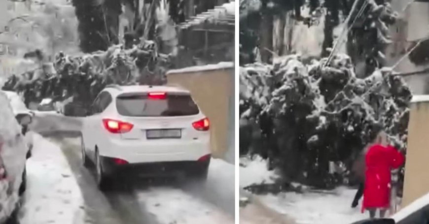 "ვერ გაივლით, არ გესმით?.." - ვრცელდება კადრები გლდანის მე-6 მ/რ - დან, სადაც კორპუსთან ხე მოტყდა და ელექტრო ენერგიის კაბელებს დაეცა