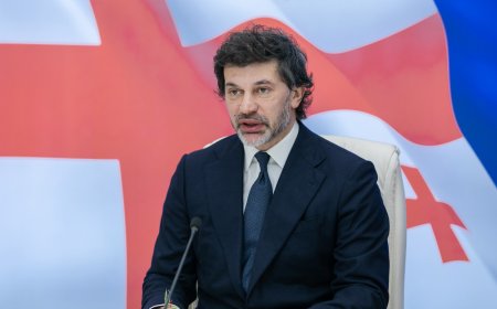 ახალი გადაწყვეტილება მალე  ამოქმედდება და სრულად დაფინანსდება" - სიახლე, რომელიც კახა კალაძემ თბილისის მთავრობის სხდომაზე განაცხადა (ვიდეო)