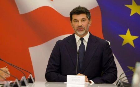 “იქნება უფასო, არც ერთი თეთრის გადახდა არ მოგიწევთ” – რას ჰპირდება კახა კალაძე მოსახლეობას? (ვიდეო)