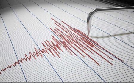 ვაიმე ახლახანს ძლიერი მიწისძვრა მოხდა