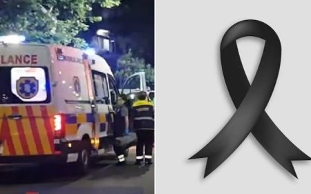 ცნობილი მსახიობი და მისი მეუღლე სავარაუდოდ საკუთარმა შვილმა მოკლა – ვრცელდება უმძიმესი ინფორმაცია 😮 😮 😮 ნახეთ ვრცლად კომენტარებში 👇👇