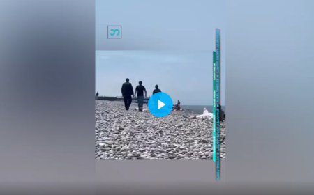 ვრცელდება სკანდალური ვიდეო ბათუმის სანაპიროდან, ვიდეო სოციალურ ქსელში კრიტიკის ქარცეცლში მოექცა ეს რა არის ვაიმეეე  (ვიდეო)