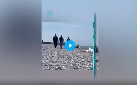 ვრცელდება სკანდალური ვიდეო ბათუმის სანაპიროდან, ვიდეო სოციალურ ქსელში კრიტიკის ქარცეცლში მოექცა ეს რა არის ვაიმეეე  (ვიდეო)