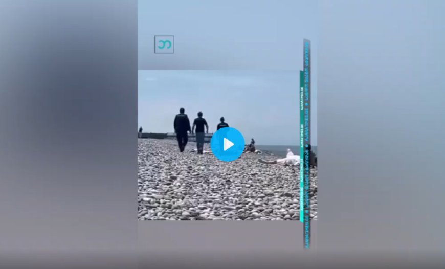 ვრცელდება სკანდალური ვიდეო ბათუმის სანაპიროდან, ვიდეო სოციალურ ქსელში კრიტიკის ქარცეცლში მოექცა ეს რა არის ვაიმეეე (ვიდეო)